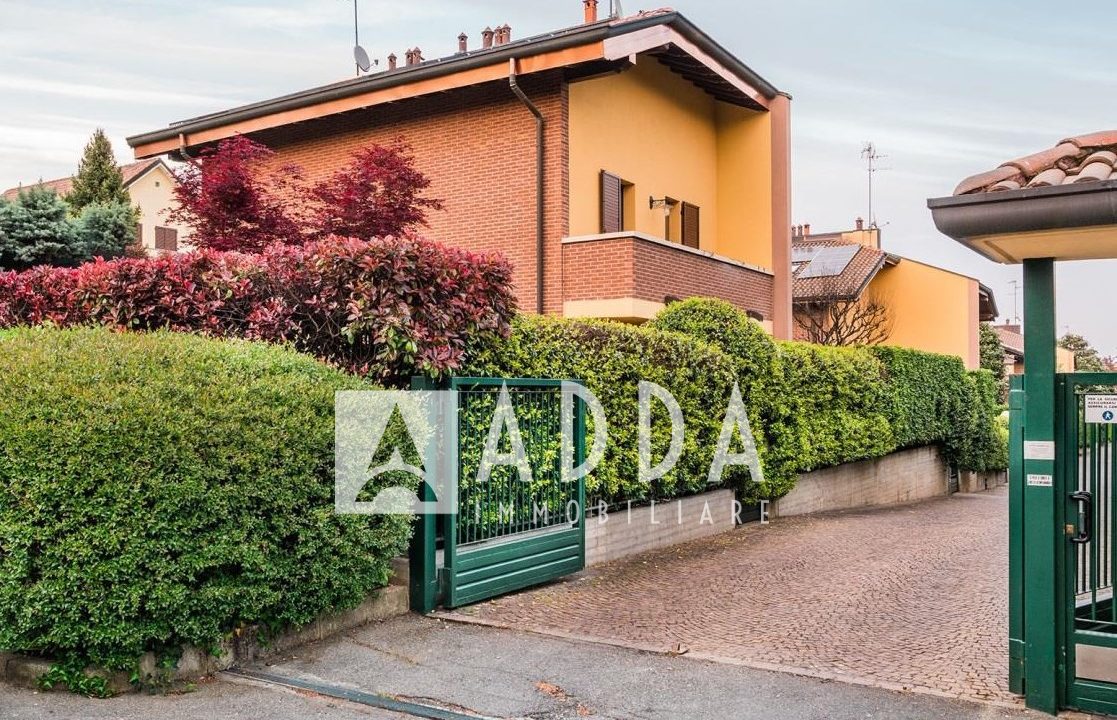 img23 (1)