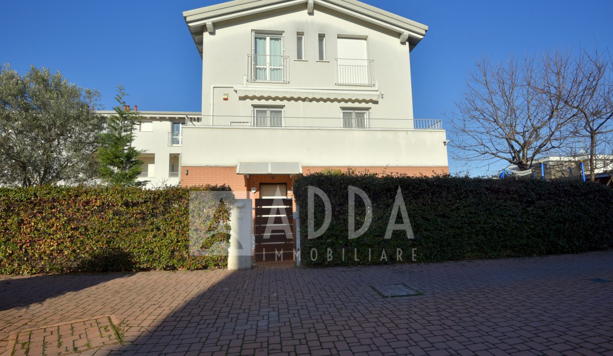 DSC_1332